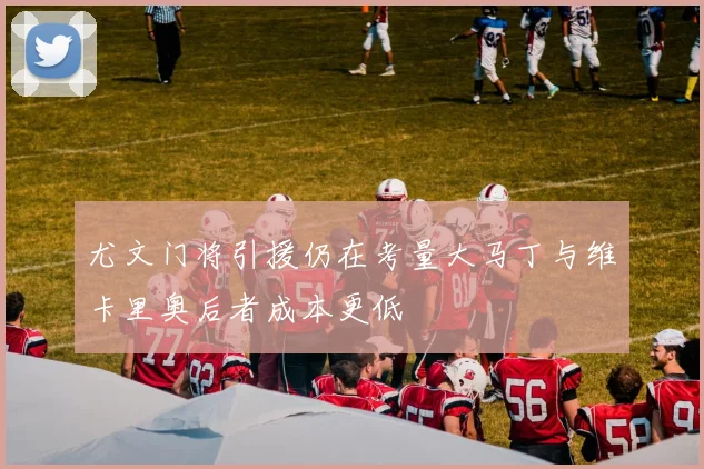 尤文门将引援仍在考量大马丁与维卡里奥后者成本更低